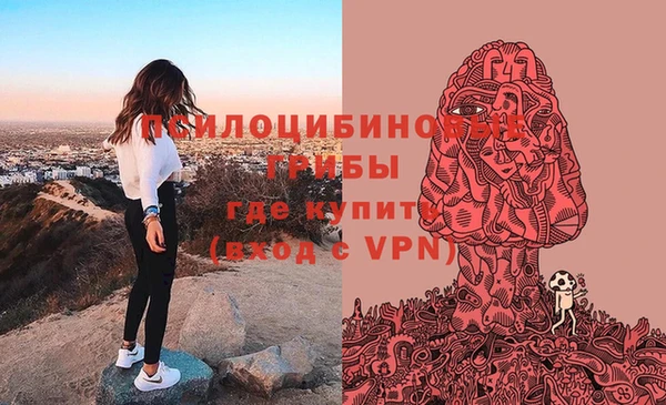 герыч Магас