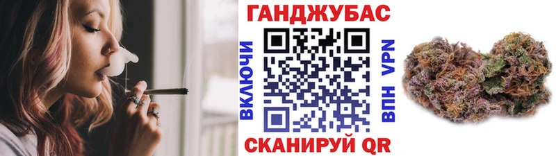 Бошки марихуана план  купить   Юрьевец 